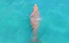 Video dugong bơi ven bờ biển ở Côn Đảo