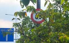 Nhiều biển báo giao thông ở TP.HCM bị che khuất tầm nhìn