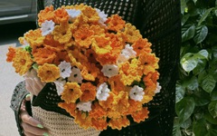 Trend chăn hoa len có gì mà cộng đồng yêu handmade phát sốt?