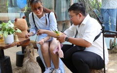 Đến Thảo cầm viên dịp lễ 30-4, du khách có thể chơi gì?