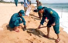 Dầu vón cục dạt vào bãi tắm ở Tuy Hòa, đã thu gom được 200kg dọc 3km bờ biển