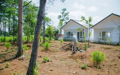 Yêu cầu xử nghiêm vụ xây dựng nhiều nhà tiền chế trên đất nông nghiệp