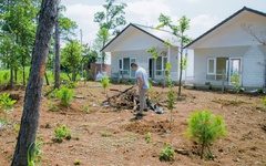 Yêu cầu xử nghiêm vụ xây dựng nhiều nhà tiền chế trên đất nông nghiệp