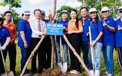 Kiều bào từ TP.HCM hưởng ứng 'Tết trồng cây đời đời nhớ ơn Bác Hồ'