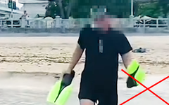 Lan truyền clip ngắm cá, san hô ở biển Hòn Chồng: Ban Quản lý vịnh Nha Trang nói gì?