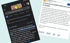 Trêu Google bằng thành ngữ bịa