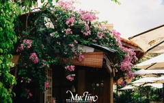 6 điểm chụp ảnh mùa hè đẹp nhất ở TP Gò Công, Tiền Giang
