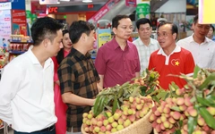 Vải thiều Lục Ngạn lên kệ siêu thị