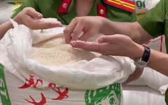 Khởi tố vụ làm giả hơn 20 tấn gạo ST25, thu lợi hàng trăm triệu đồng ở Hà Nội