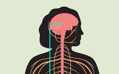 Căng thẳng và đường đi của ung thư