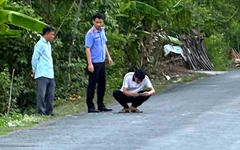 Vụ tai nạn tại Vĩnh Long: Điều tra viên Viện Kiểm sát nhân dân tối cao kiểm tra hiện trường