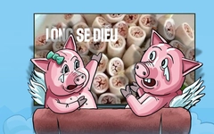 Hai chú heo tâm sự thẳng thắn về lòng se điếu
