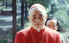 Mật nghị hồng y, bí mật trong nhà nguyện Sistine - Kỳ cuối: Các hồng y Việt Nam đã tham gia mật nghị