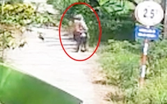 Trích xuất camera vụ hai người khiêng xác bạn nhậu bỏ ở vườn dừa nhà dân