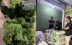 Thu giữ hơn 3 tạ rau quả nhiễm hóa chất độc hại