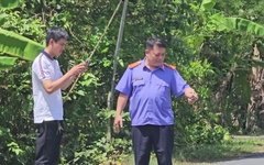 Vụ tai nạn giao thông ở Vĩnh Long