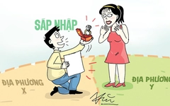 Khi sáp nhập không phải chuyện vĩ mô