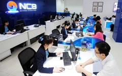 Lộ diện 17 cá nhân chi 7.500 tỉ đồng mua 750 triệu cổ phiếu Ngân hàng Quốc Dân