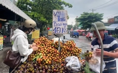 Đỉnh cao marketing 'vải thiều bao ngọt 10.000 đồng/kg'