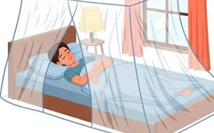 3 lớp chặn sốt xuất huyết