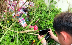 Chống buôn lậu, hàng giả