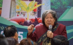 'Bước chân trở về’ kêu gọi kiều bào gây quỹ trồng rừng, góp sức phát triển đất nước