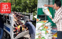 Bản tin 30s nóng: Cả ngàn chai nước mắm bị vứt bỏ ven đường; Lúa giống cũng bị làm giả