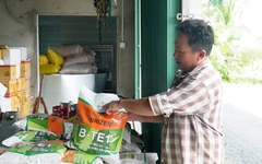 Sập bẫy lúa giống giả, nhiều nông dân ở Cà Mau trắng tay, nợ 'đầm đìa'
