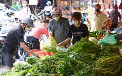 Quản lý thuế ra sao với hộ kinh doanh thu dưới 1 tỉ đồng?