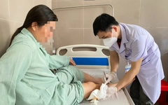 Một bệnh viện tiếp nhận 20 bệnh nhân bị chó cắn trong 1 tháng