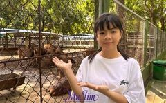 Trại rắn Đồng Tâm (Tiền Giang) có cả ngựa, hổ, nai,...