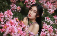 Đến Đà Lạt mùa này đừng quên check-in với phượng hồng