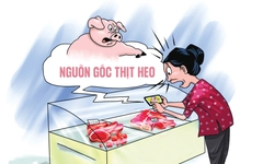 Truy xuất nguồn gốc thịt heo chưa làm người dân thật sự yên tâm