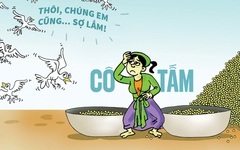 Cô Tấm ra ngoài đời thực