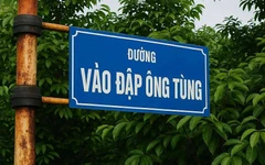 Ảnh vui 6-6: 'Không biết ông Tùng vẫn ổn chứ?!'