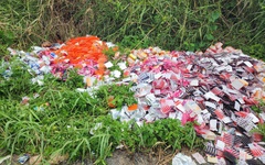 Chống buôn lậu, hàng giả