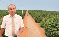 Bầu Đức nói có thể làm giàu từ nông nghiệp, từ chối dự án bất động sản lời ngàn tỉ