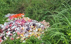Chống buôn lậu, hàng giả