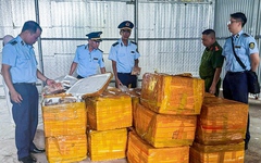 Chống buôn lậu, hàng giả