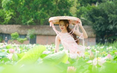 Săn ảnh, check in cảnh nên thơ ở đầm sen đẹp nhất Ninh Bình