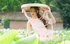 Săn ảnh, check in cảnh nên thơ ở đầm sen đẹp nhất Ninh Bình