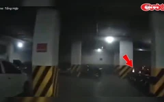 Cháy xe trong hầm chung cư, tài xế nhanh trí cứu tòa nhà thoát hỏa hoạn