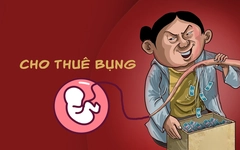 Thế giới ngầm đẻ thuê giá hàng trăm triệu