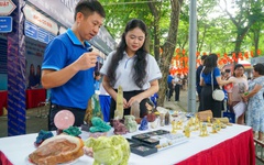 Mang đá quý đến Ngày hội lựa chọn nguyện vọng xét tuyển