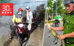 Bản tin 30s Nóng: Cướp vé số của người đàn ông khuyết tật; Cá sấu trên kênh Nước Đen đã bị bắt