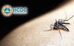 TP.HCM cảnh báo tăng ca mắc sốt xuất huyết bệnh nặng, đã có 10 ca tử vong