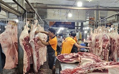 Thịt heo rớt giá, sức mua vẫn giảm vì dịch tả châu Phi