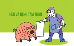 Chú heo và bệnh tâm thần
