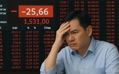 Bảng điện nhiều công ty chứng khoán 'đứng hình' phiên thanh khoản vượt 80.000 tỉ