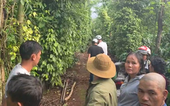 Người phụ nữ bị sát hại tại nhà nghỉ: Nghi phạm trốn vào rẫy cà phê uống thuốc độc, đã chết